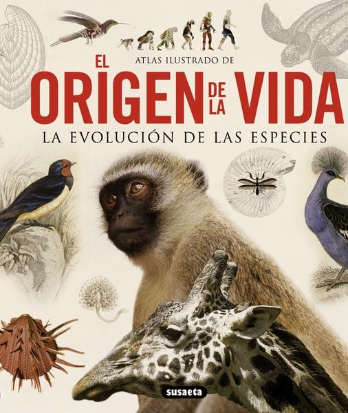 ORIGEN DE LA VIDA | 9788467713336 | MASSA, RENATO | Galatea Llibres | Llibreria online de Reus, Tarragona | Comprar llibres en català i castellà online