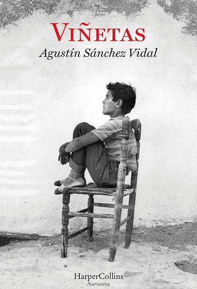 VIÑETAS | 9788491390077 | SÁNCHEZ VIDAL, AGUSTÍN | Galatea Llibres | Librería online de Reus, Tarragona | Comprar libros en catalán y castellano online