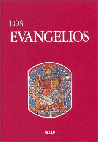 EVANGELIOS, LOS | 9788432136924 | VARIOS AUTORES | Galatea Llibres | Llibreria online de Reus, Tarragona | Comprar llibres en català i castellà online