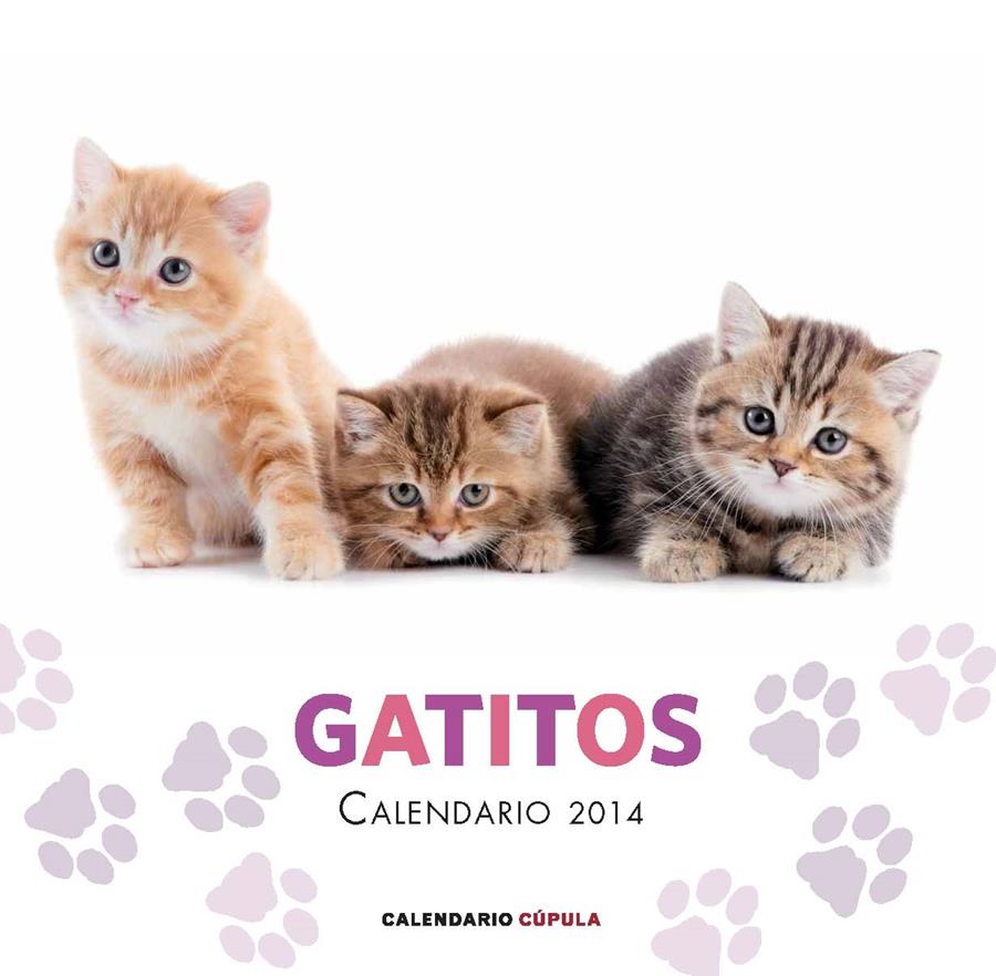 CALENDARIO GATITOS 2014 | 9788448011680 | Galatea Llibres | Llibreria online de Reus, Tarragona | Comprar llibres en català i castellà online