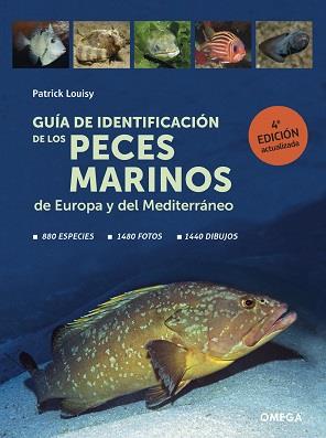 GUIA DE IDENTIFICACION DE LOS PECES MARINOS DE EUROPA | 9788428217774 | LOUISY, PATRICK | Galatea Llibres | Llibreria online de Reus, Tarragona | Comprar llibres en català i castellà online