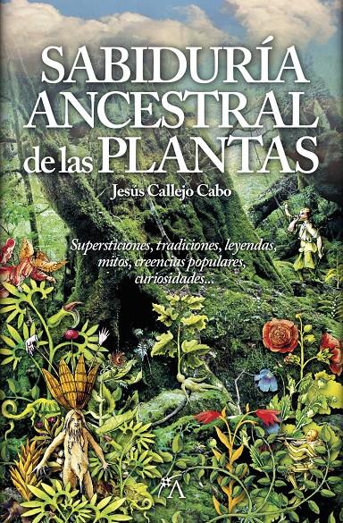 LA SABIDURÍA ANCESTRAL DE LAS PLANTAS | 9788416002306 | CALLEJO CABO, JESÚS | Galatea Llibres | Librería online de Reus, Tarragona | Comprar libros en catalán y castellano online