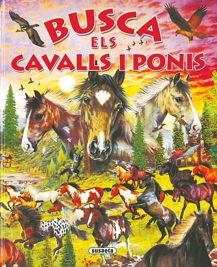 BUSCA ELS CAVALLS I PONIS | 9788430559701 | SUSAETA, EQUIPO | Galatea Llibres | Llibreria online de Reus, Tarragona | Comprar llibres en català i castellà online