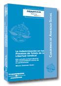 INDEMNIZACION EN LOS PROCESOS DE TUTELA DE LA LIBERTAD | 9788497675604 | CARDENAL CARRO, MIGUEL | Galatea Llibres | Librería online de Reus, Tarragona | Comprar libros en catalán y castellano online