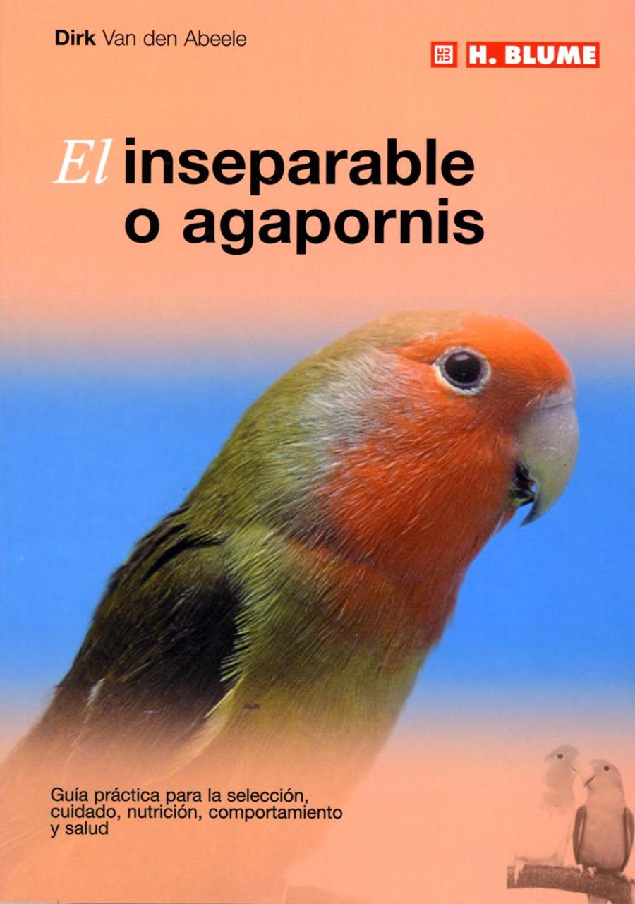 INSEPARABLE O AGAPORNIS, EL | 9788489840768 | VAN DEN ABEELE, DIRK | Galatea Llibres | Llibreria online de Reus, Tarragona | Comprar llibres en català i castellà online