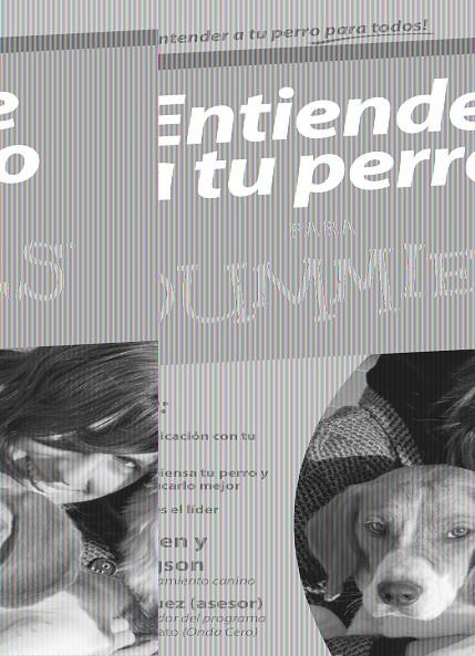 ENTIENDE A TU PERRO PARA DUMMIES | 9788432920752 | COREN, STANLEY/HODGSON, SARAH | Galatea Llibres | Llibreria online de Reus, Tarragona | Comprar llibres en català i castellà online