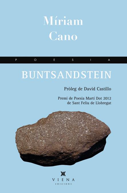 BUNTSANDSTEIN | 9788483307465 | CANO MANZANO, MÍRIAM | Galatea Llibres | Llibreria online de Reus, Tarragona | Comprar llibres en català i castellà online