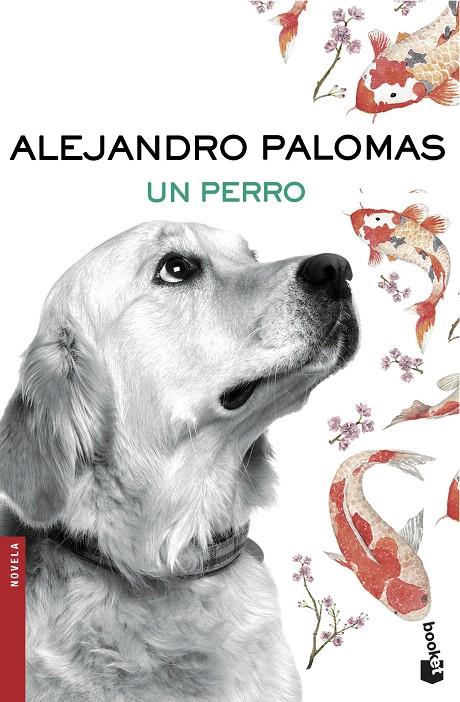 UN PERRO | 9788423351862 | PALOMAS, ALEJANDRO | Galatea Llibres | Llibreria online de Reus, Tarragona | Comprar llibres en català i castellà online