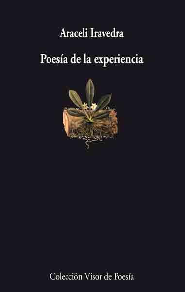 POESIA DE LA EXPERIENCIA | 9788475226514 | IRAVEDRA, ARACELI | Galatea Llibres | Llibreria online de Reus, Tarragona | Comprar llibres en català i castellà online