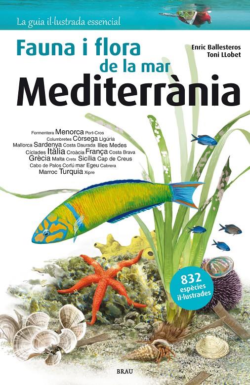 FAUNA I FLORA DE LA MAR MEDITERRÀNIA | 9788415885252 | BALLESTEROS SAGARRA, ENRIC | Galatea Llibres | Llibreria online de Reus, Tarragona | Comprar llibres en català i castellà online