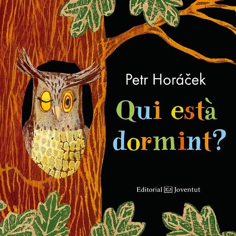 QUI ESTÀ DORMINT? | 9788426145185 | HORÁCEK, PETR | Galatea Llibres | Llibreria online de Reus, Tarragona | Comprar llibres en català i castellà online