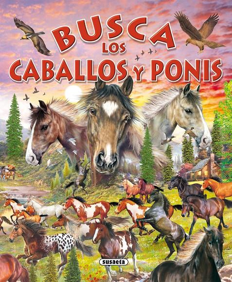 BUSCA LOS CABALLOS Y PONIS | 9788430557998 | SUSAETA, EQUIPO | Galatea Llibres | Llibreria online de Reus, Tarragona | Comprar llibres en català i castellà online