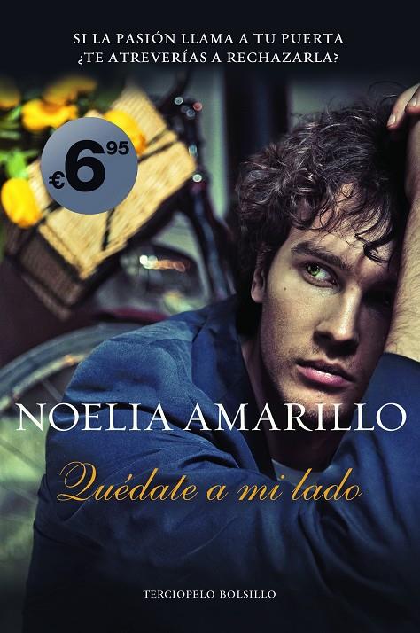 QUÉDATE A MI LADO | 9788415410867 | AMARILLO, NOELIA | Galatea Llibres | Llibreria online de Reus, Tarragona | Comprar llibres en català i castellà online