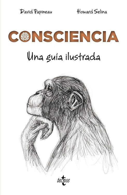 CONSCIENCIA | 9788430976072 | PAPINEAU, DAVID | Galatea Llibres | Llibreria online de Reus, Tarragona | Comprar llibres en català i castellà online