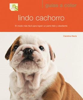 LINDO CACHORRO | 9788493662646 | DAVIS, CAROLINE | Galatea Llibres | Llibreria online de Reus, Tarragona | Comprar llibres en català i castellà online