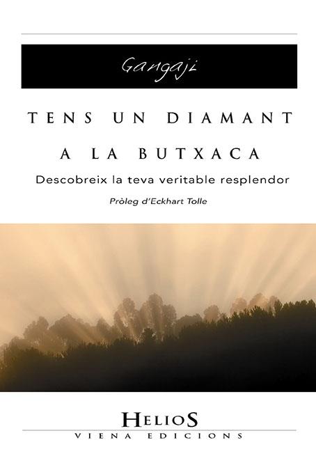 TENS UN DIAMANT A LA BUTXACA | 9788483304525 | GANGAJI | Galatea Llibres | Librería online de Reus, Tarragona | Comprar libros en catalán y castellano online