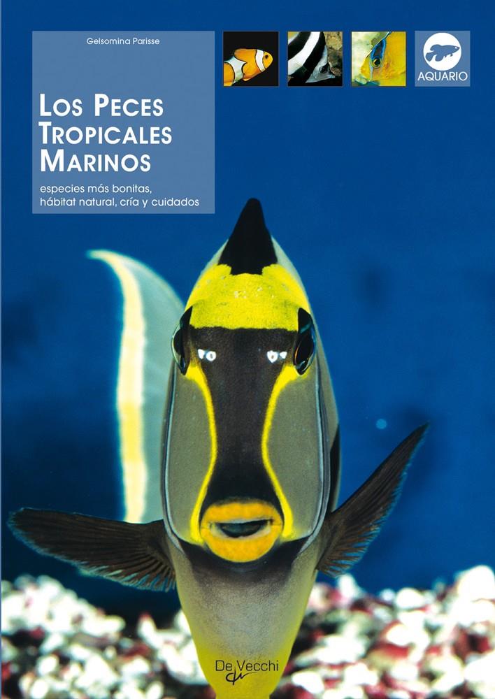 PECES TROPICALES MARINOS, LOS | 9788431528003 | PARISSE, GELSOMINA | Galatea Llibres | Librería online de Reus, Tarragona | Comprar libros en catalán y castellano online