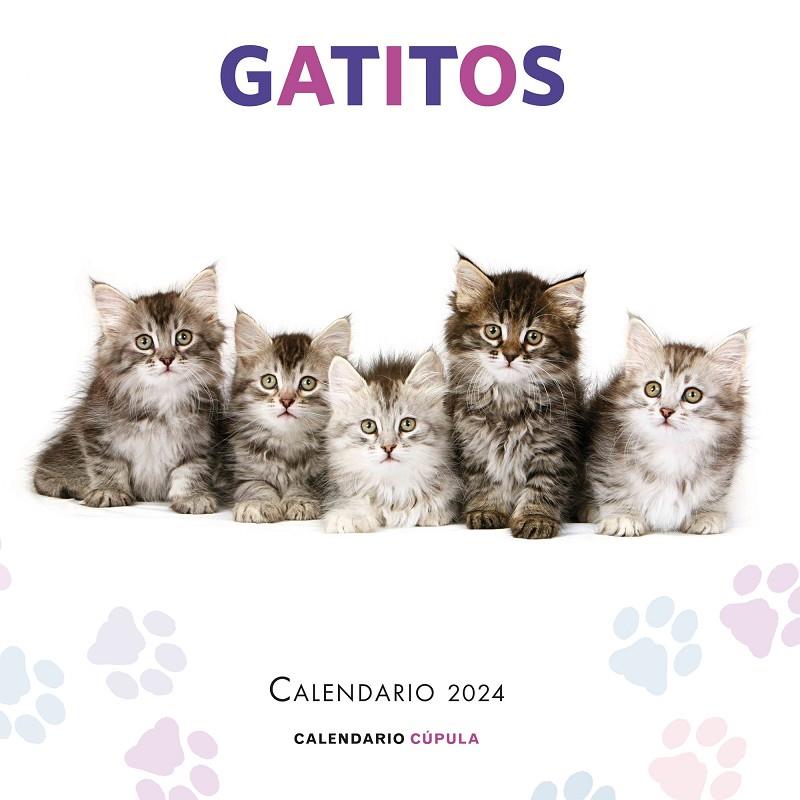 CALENDARIO GATITOS 2024 | 9788448038076 | Galatea Llibres | Llibreria online de Reus, Tarragona | Comprar llibres en català i castellà online