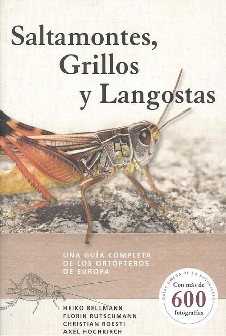 SALTAMONTES GRILLOS Y LANGOSTAS | 9788428217279 | BELLMANN, HEIKO | Galatea Llibres | Llibreria online de Reus, Tarragona | Comprar llibres en català i castellà online