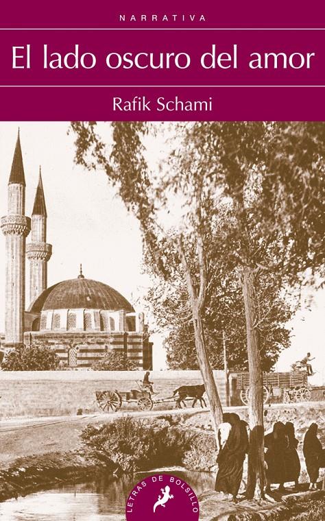 EL LADO OSCURO DEL AMOR | 9788498385199 | SCHAMI, RAFIK | Galatea Llibres | Librería online de Reus, Tarragona | Comprar libros en catalán y castellano online