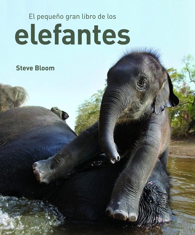 PEQUEÑO GRAN LIBRO DE LOS ELEFANTES, EL | 9788497543057 | BLOOM, STEVE | Galatea Llibres | Llibreria online de Reus, Tarragona | Comprar llibres en català i castellà online