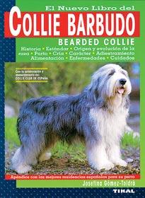 COLLIE BARBUDO,EL | 9788430584130 | GÓMEZ-TOLDRÁ, JOSEFINA | Galatea Llibres | Llibreria online de Reus, Tarragona | Comprar llibres en català i castellà online