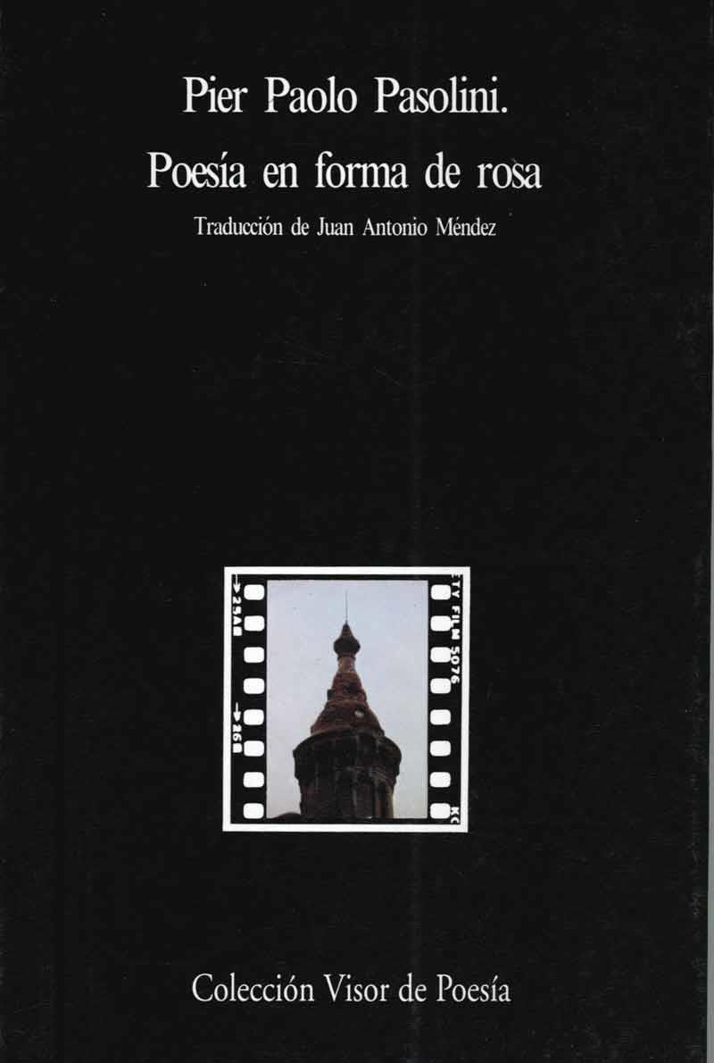 POESIA EN FORMA DE ROSA | 9788475221632 | PASOLINI, PIER PAOLO | Galatea Llibres | Llibreria online de Reus, Tarragona | Comprar llibres en català i castellà online