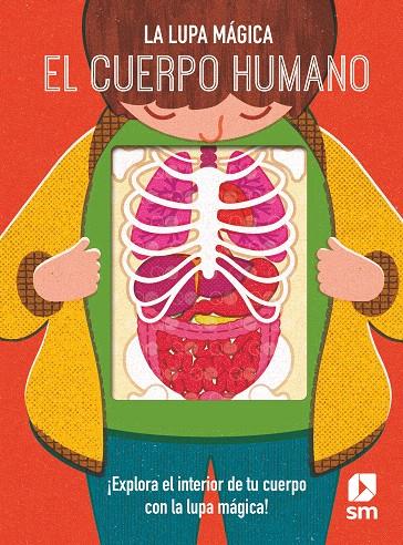 EL CUERPO HUMANO | 9788413184036 | DICKMANN, NANCY | Galatea Llibres | Llibreria online de Reus, Tarragona | Comprar llibres en català i castellà online