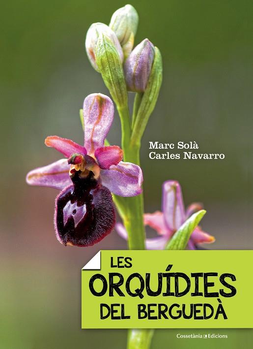 LES ORQUÍDIES DEL BERGUEDÀ | 9788490343289 | SOLÀ, MARC/NAVARRO, CARLES | Galatea Llibres | Llibreria online de Reus, Tarragona | Comprar llibres en català i castellà online