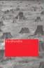 FORDLANDIA NT-42 | 9788478448210 | SGUIGLIA, EDUARDO | Galatea Llibres | Llibreria online de Reus, Tarragona | Comprar llibres en català i castellà online