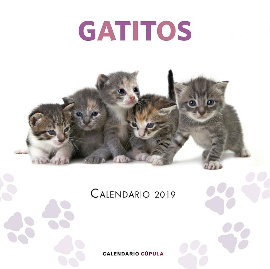 CALENDARIO 2019 GATITOS | 9788448024659 | Galatea Llibres | Llibreria online de Reus, Tarragona | Comprar llibres en català i castellà online