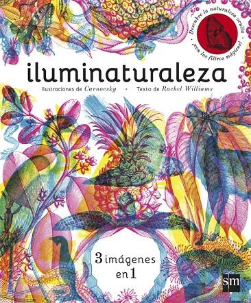 ILUMINATURALEZA | 9788467589955 | WILLIAMS, RACHEL | Galatea Llibres | Librería online de Reus, Tarragona | Comprar libros en catalán y castellano online