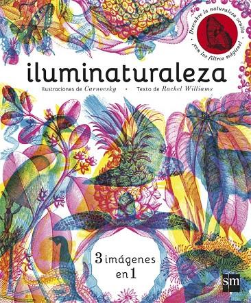 ILUMINATURALEZA | 9788467589955 | WILLIAMS, RACHEL | Galatea Llibres | Llibreria online de Reus, Tarragona | Comprar llibres en català i castellà online