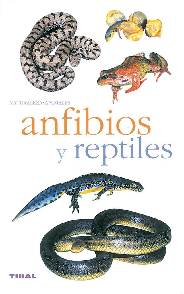 ANFIBIOS Y REPTILES | 9788430553341 | SANTIANI, MARC | Galatea Llibres | Llibreria online de Reus, Tarragona | Comprar llibres en català i castellà online