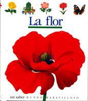 MUM. 8 LA FLOR | 9788434835375 | METTLER, RENÉ/DELAFOSSE, CLAUDE/GALLIMARD JEUNESSE, ÉDITIONS | Galatea Llibres | Librería online de Reus, Tarragona | Comprar libros en catalán y castellano online