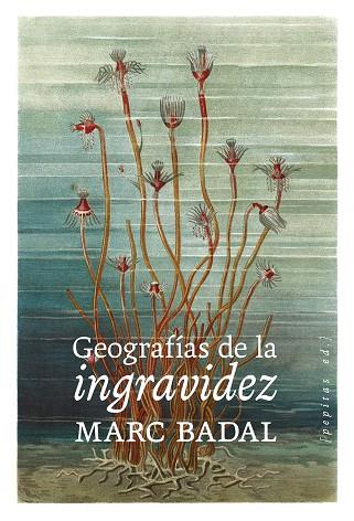 GEOGRAFÍAS DE LA INGRAVIDEZ | 9788418998669 | BADAL, MARC | Galatea Llibres | Llibreria online de Reus, Tarragona | Comprar llibres en català i castellà online