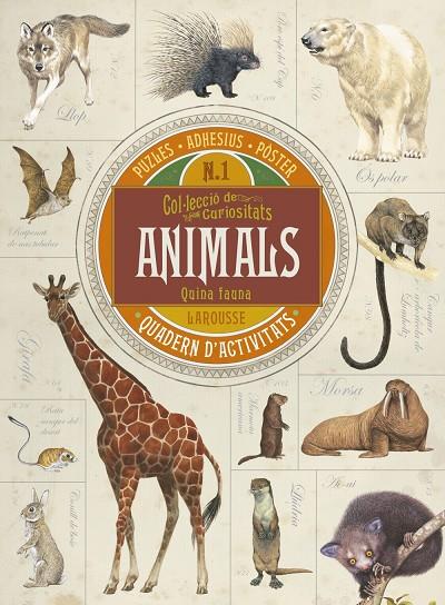 ANIMALS. COL.LECCIÓ DE CURIOSITATS | 9788416641703 | Galatea Llibres | Llibreria online de Reus, Tarragona | Comprar llibres en català i castellà online