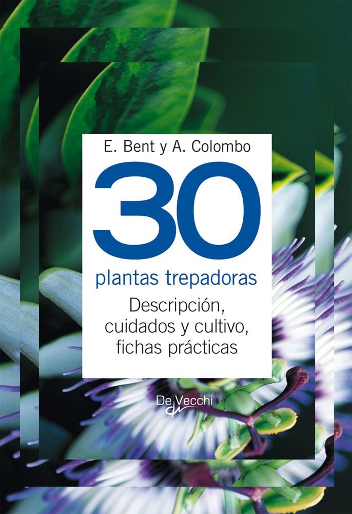 30 PLANTAS TREPADORAS | 9788431541705 | BENT,E | Galatea Llibres | Llibreria online de Reus, Tarragona | Comprar llibres en català i castellà online