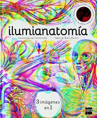 ILUMIANATOMIA | 9788467594201 | DAVIES, KATE | Galatea Llibres | Llibreria online de Reus, Tarragona | Comprar llibres en català i castellà online