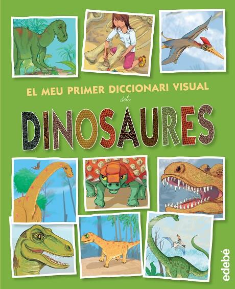 EL MEU PRIMER DICCIONARI VISUAL DELS DINOSAURES | 9788468321233 | A.A.V.V | Galatea Llibres | Llibreria online de Reus, Tarragona | Comprar llibres en català i castellà online