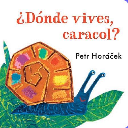 DONDE VIVES, CARACOL? | 9788426140777 | HORACEK, PETR | Galatea Llibres | Librería online de Reus, Tarragona | Comprar libros en catalán y castellano online
