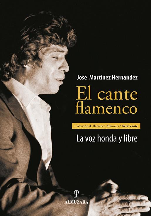 EL BAILE FLAMENCO | 9788496416888 | NAVARRO, JOSE LUIS | Galatea Llibres | Llibreria online de Reus, Tarragona | Comprar llibres en català i castellà online