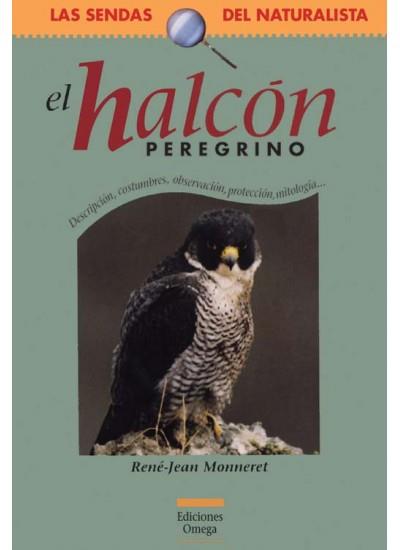 HALCON PEREGRINO, EL | 9788428213202 | MONNERET, RENÉ | Galatea Llibres | Llibreria online de Reus, Tarragona | Comprar llibres en català i castellà online