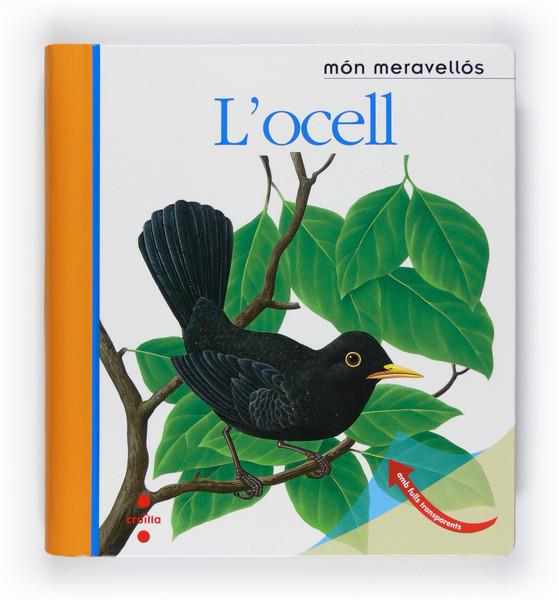 OCELL, L'. MON MERAVELLOS | 9788466125161 | DELAFOSSE, CLAUDE / METLLER, RENÉ | Galatea Llibres | Librería online de Reus, Tarragona | Comprar libros en catalán y castellano online