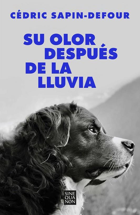 SU OLOR DESPUÉS DE LA LLUVIA | 9788466678766 | SAPIN-DEFOUR, CÉDRIC | Galatea Llibres | Llibreria online de Reus, Tarragona | Comprar llibres en català i castellà online