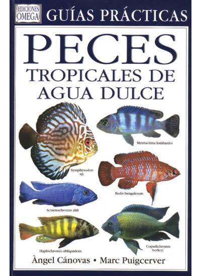 PECES TROPICALES DE AGUA DULCE. GUIAS PRACTICAS | 9788428212076 | AAVV | Galatea Llibres | Llibreria online de Reus, Tarragona | Comprar llibres en català i castellà online