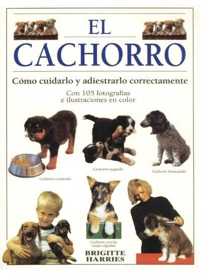 CACHORRO, EL | 9788428210997 | HARRIES, BRIGITTE | Galatea Llibres | Llibreria online de Reus, Tarragona | Comprar llibres en català i castellà online