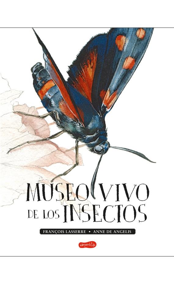 MUSEO VIVO DE LOS INSECTOS | 9788417222123 | LASSERRE, FRANçOIS | Galatea Llibres | Llibreria online de Reus, Tarragona | Comprar llibres en català i castellà online