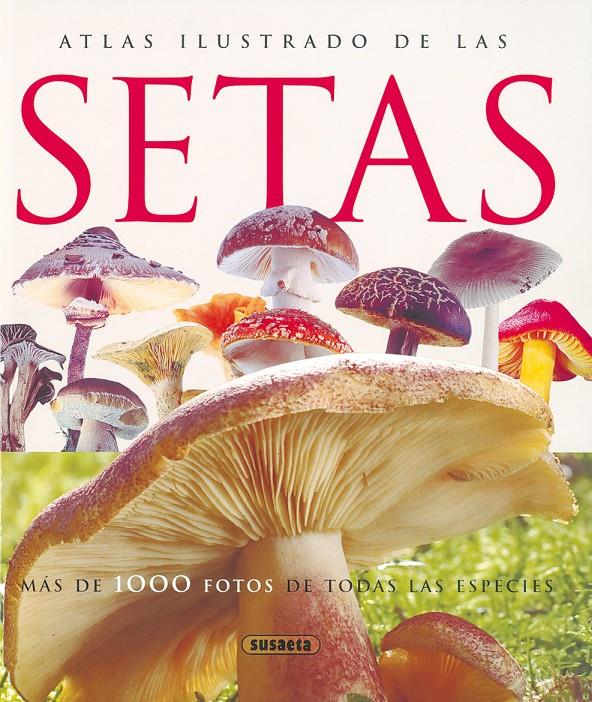 ATLAS ILUSTRADO DE LAS SETAS | 9788430547210 | LAMAISON, JEAN-LOUIS/POLESE, JEAN-MARIE | Galatea Llibres | Llibreria online de Reus, Tarragona | Comprar llibres en català i castellà online