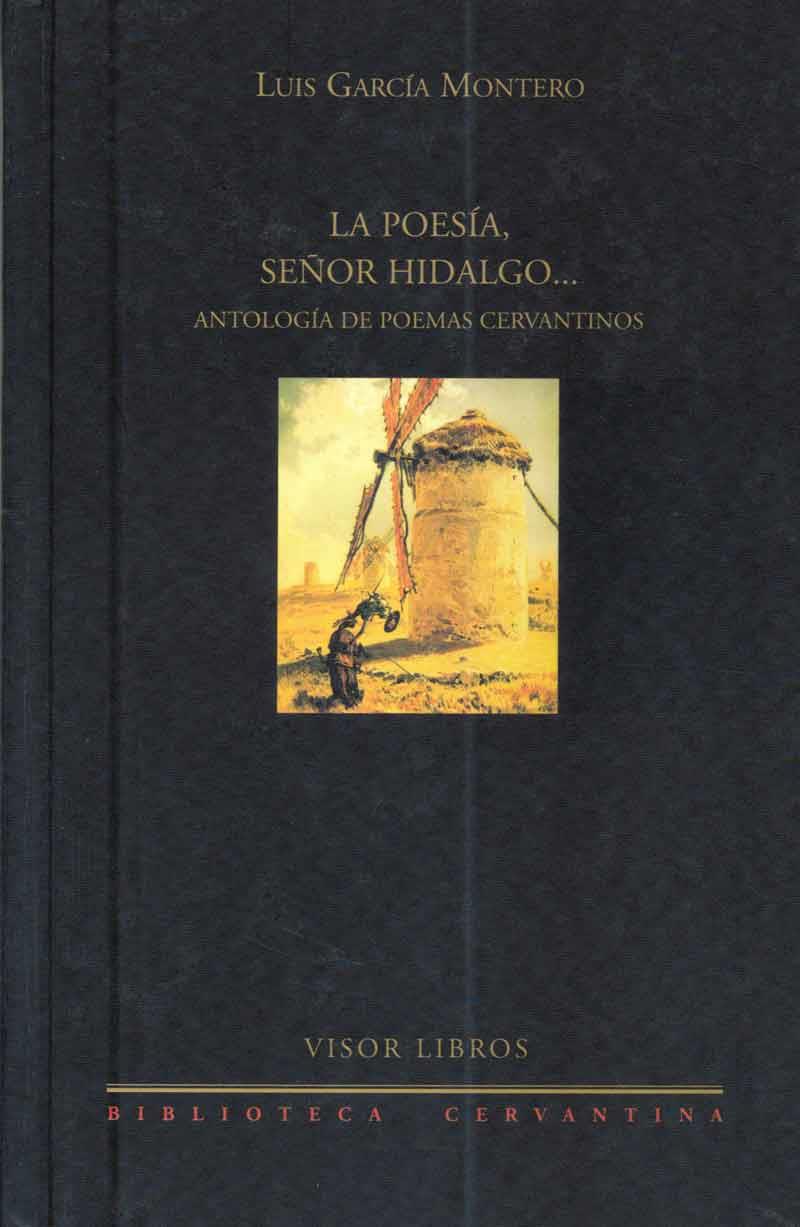 POESIA SEÑOR HIDALGO | 9788475227948 | GARCIA MONTERO, LUIS | Galatea Llibres | Llibreria online de Reus, Tarragona | Comprar llibres en català i castellà online